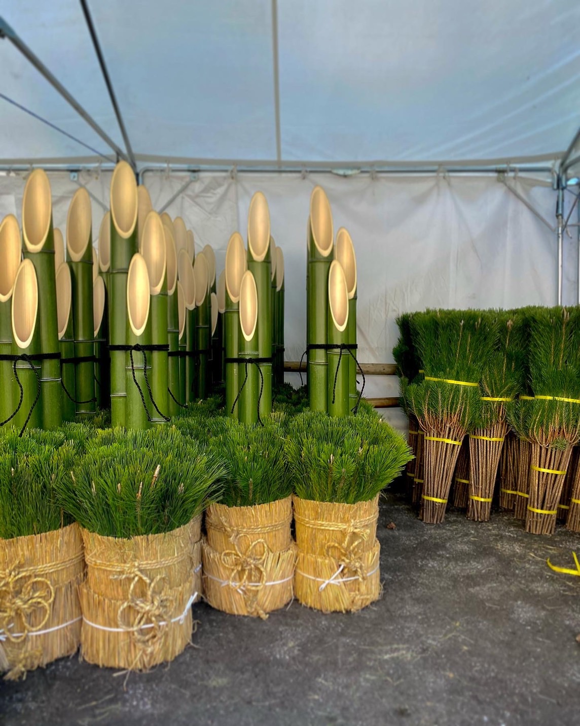 株式会社トシ・ランドスケープ(New)