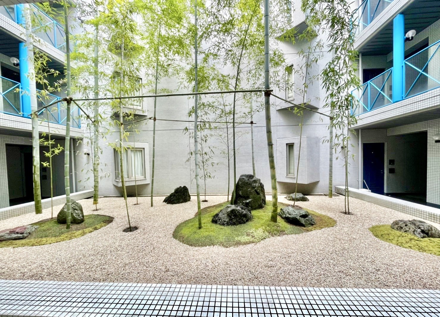 マンション 中庭 竹 マダケ スナゴケ 苔山 砂利 植栽改修 目黒区