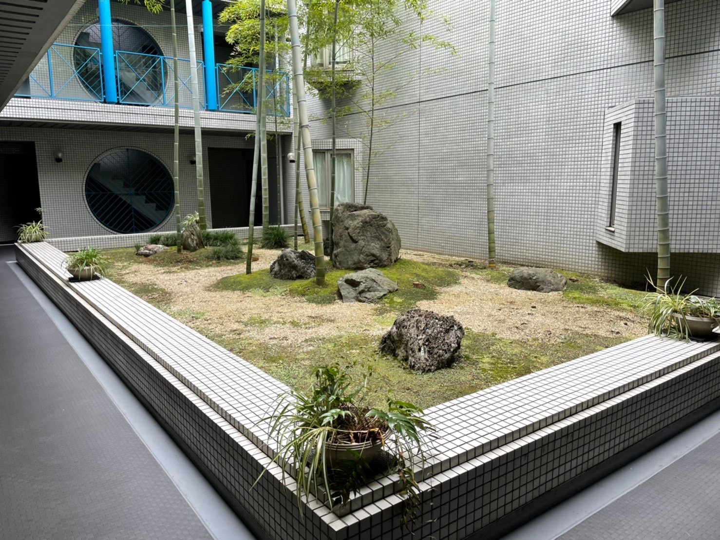 マンション 中庭 植栽 経年劣化 土の流亡 目黒区
