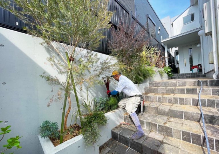 植栽植え付け