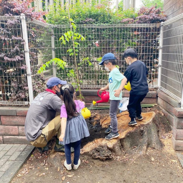 幼稚園　植樹体験