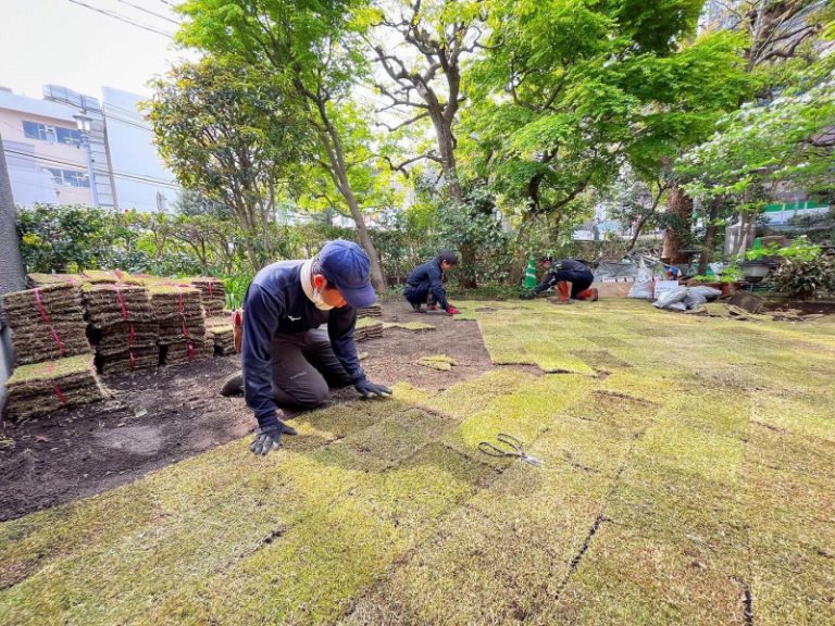 芝張り　お庭改修工事　造園