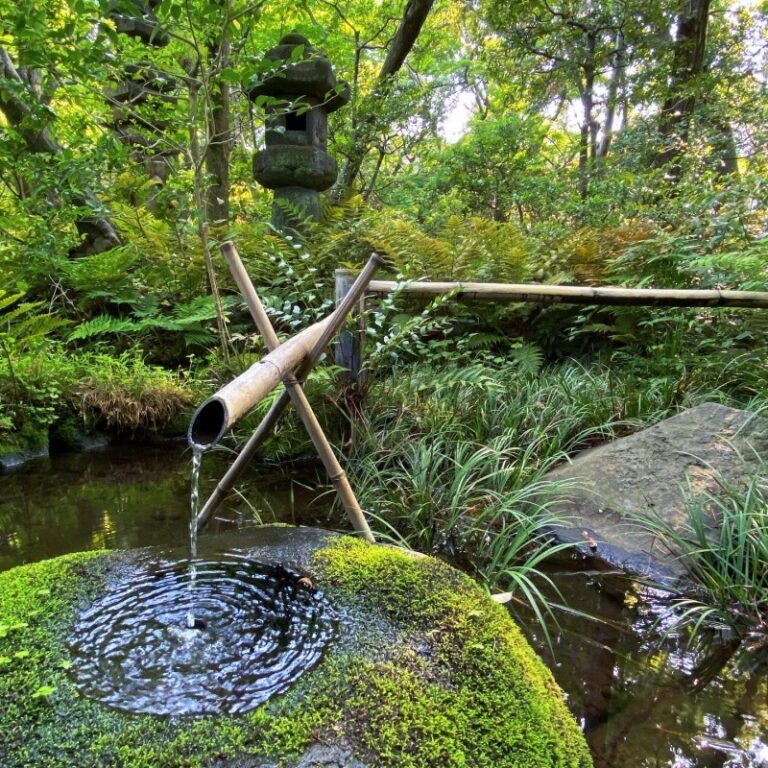 つくばい 筧 苔 石灯籠 日本庭園 海外進出