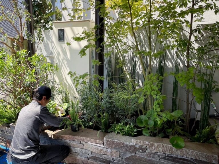 戸建　外構植栽　リニューアル　モミジ　植え替え　マホニア　トクサ