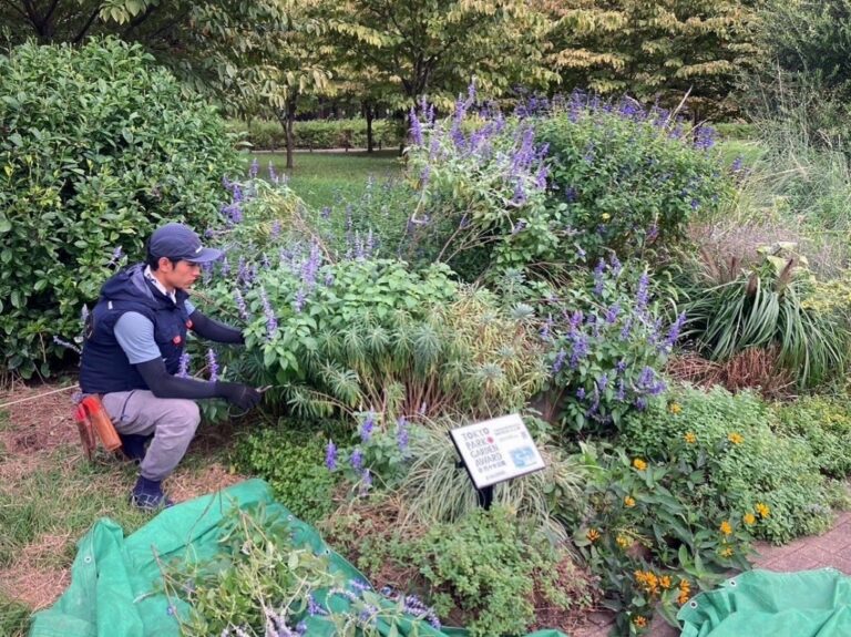 紫の花 宿根草 植物名札 作業スタッフ 代々木公園 コンテストガーデン