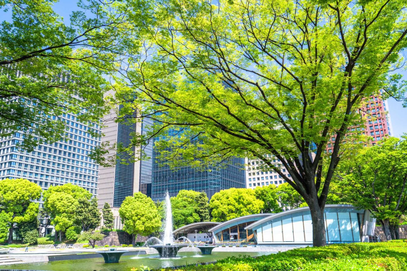 都市公園 高木 噴水 高層ビル 資本金増資 お知らせ
