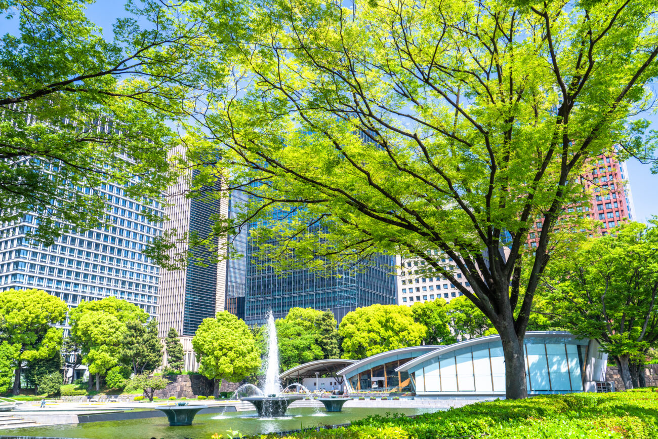 都市公園 高木 噴水 高層ビル 特定建設業許可 お知らせ