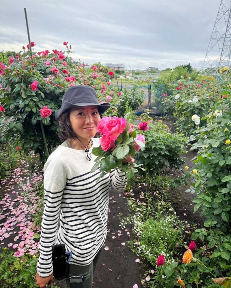 バラ園で花を手にする平野奈緒