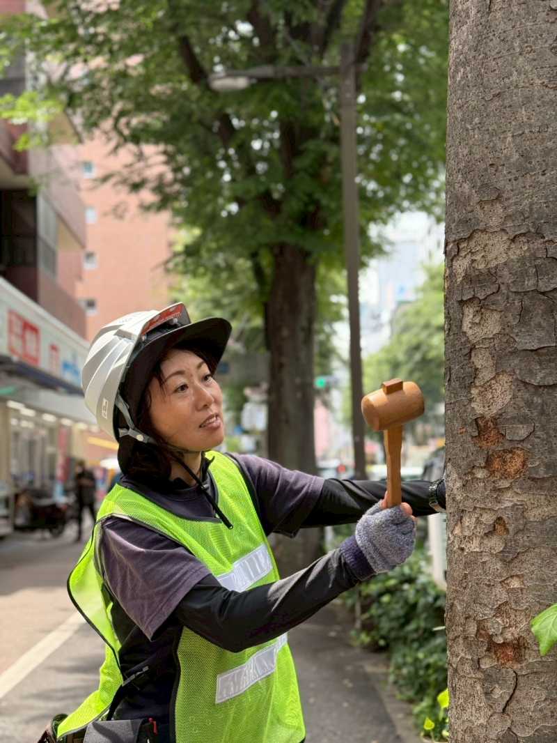 木槌で樹木を打診する平野奈緒