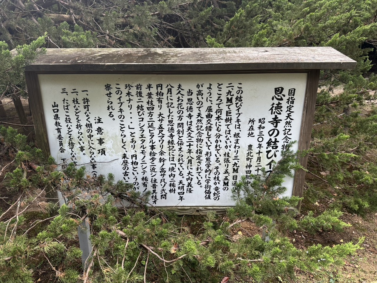 株式会社トシ・ランドスケープ(New)