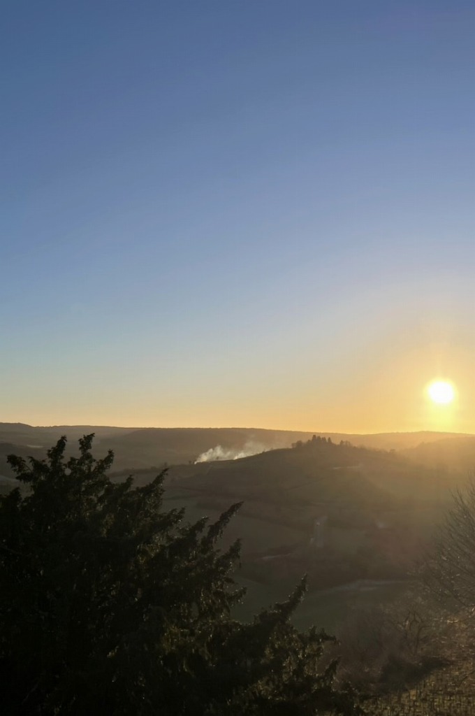 株式会社トシ・ランドスケープ(New)