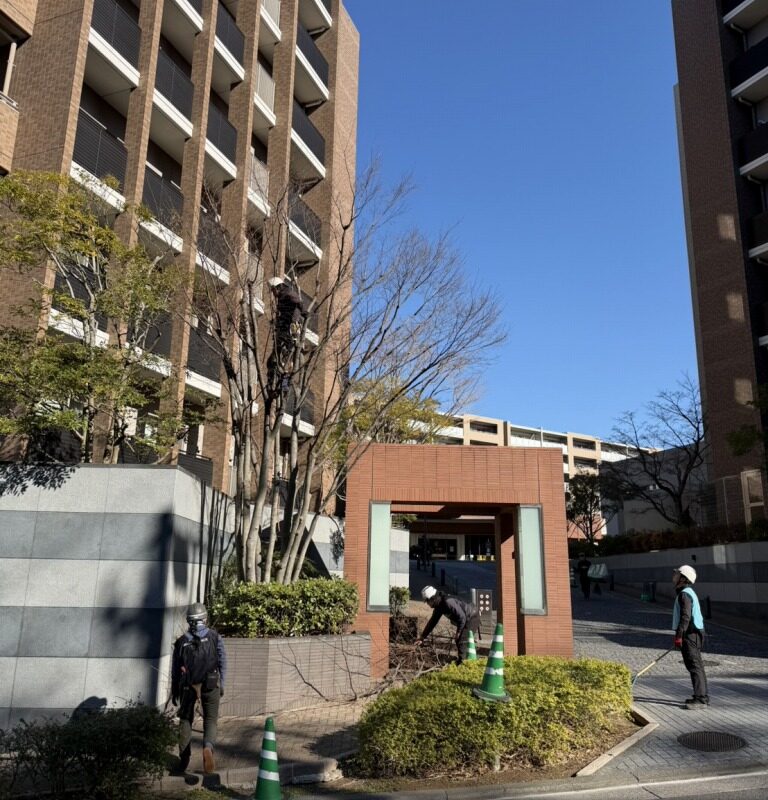 マンション エントランス 高木 作業スタッフ 植栽管理 神奈川県