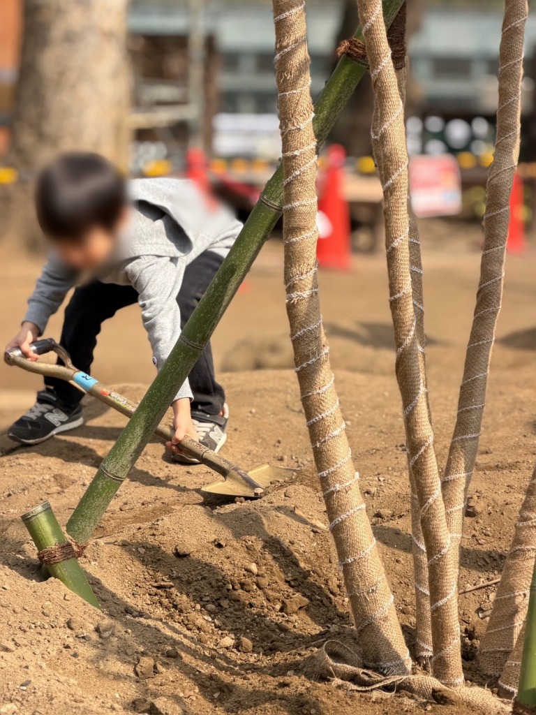 恵比寿どろんこ山プレーパーク　恵比寿薬袋一公園　緑の環境プラン　植栽　造園工事　植樹式