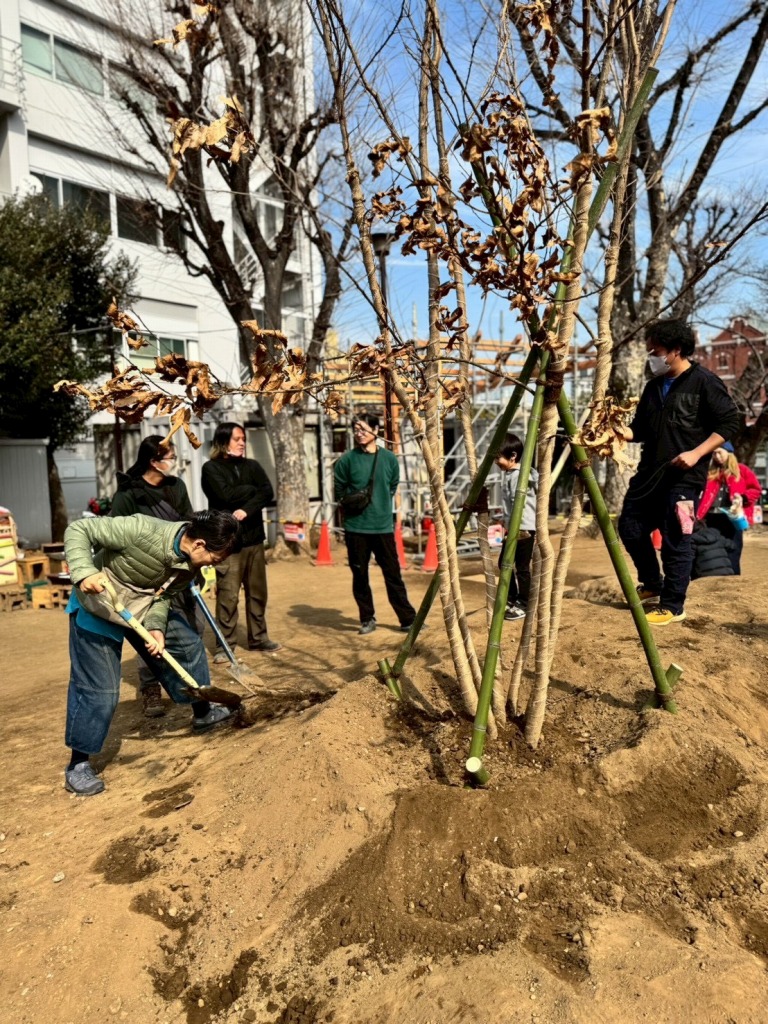 恵比寿どろんこ山プレーパーク　恵比寿薬袋一公園　緑の環境プラン　植栽　造園工事　植樹式