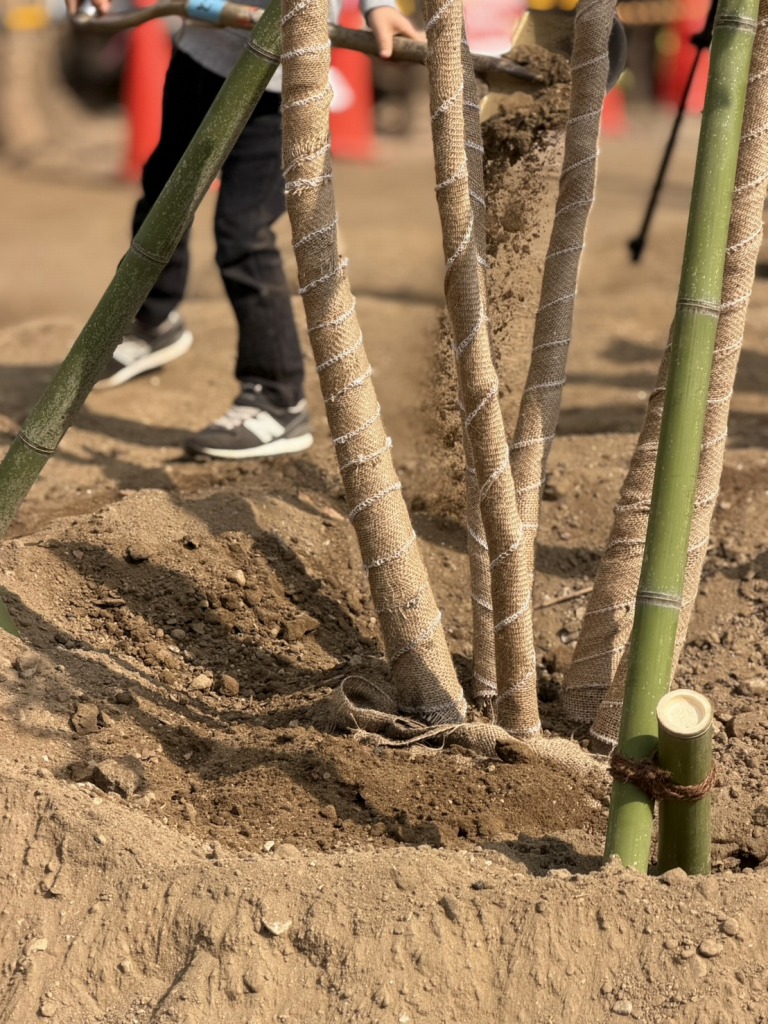 恵比寿どろんこ山プレーパーク　恵比寿薬袋一公園　緑の環境プラン　植栽　造園工事　植樹式