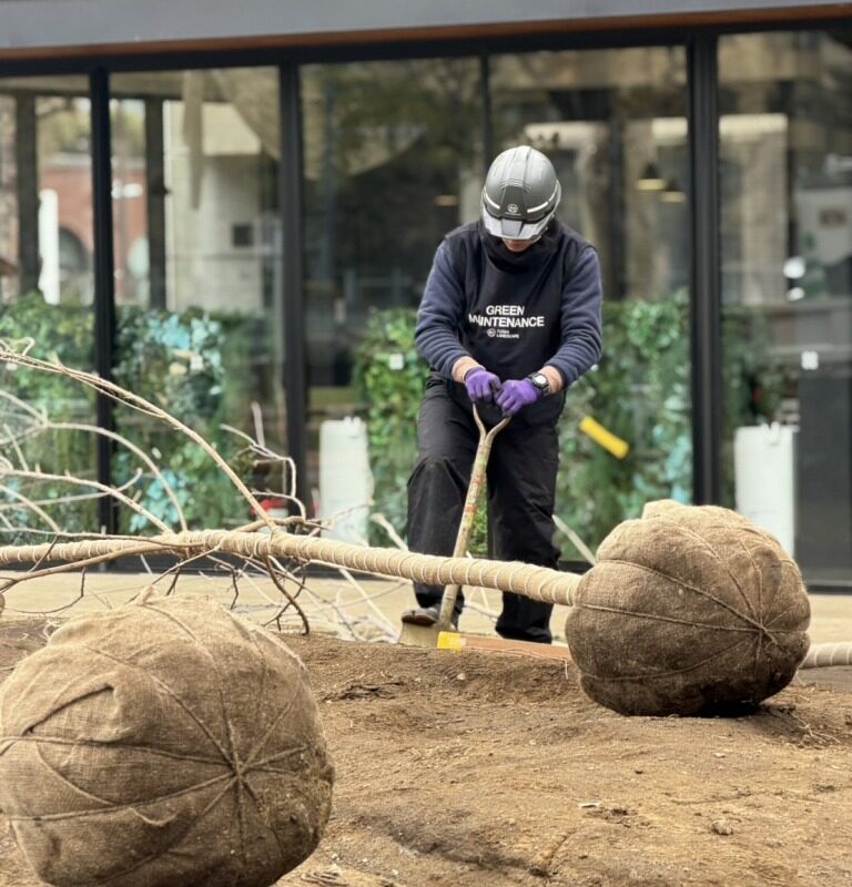 根鉢 植え穴 作業スタッフ 植栽工事 恵比寿南一公園