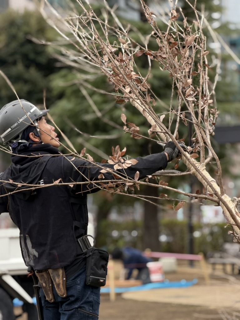 恵比寿どろんこ山プレーパーク　恵比寿薬袋一公園　緑の環境プラン　植栽　造園工事