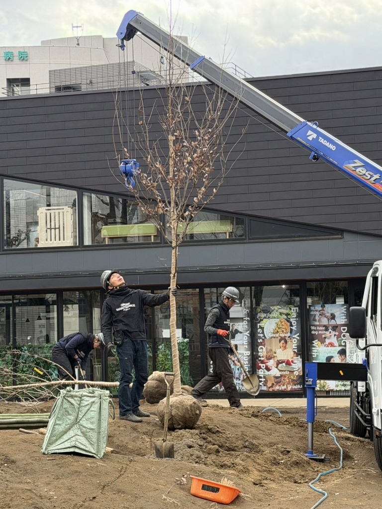 恵比寿どろんこ山プレーパーク　恵比寿薬袋一公園　緑の環境プラン　植栽　造園工事