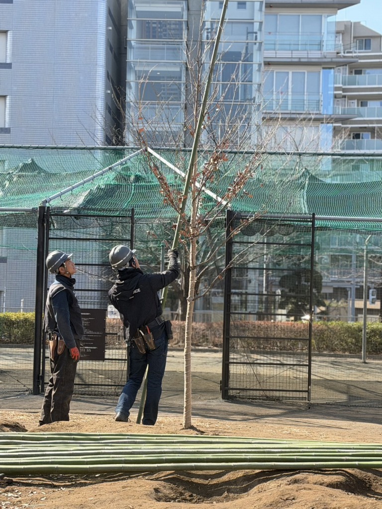 恵比寿どろんこ山プレーパーク　恵比寿薬袋一公園　緑の環境プラン　植栽　造園工事