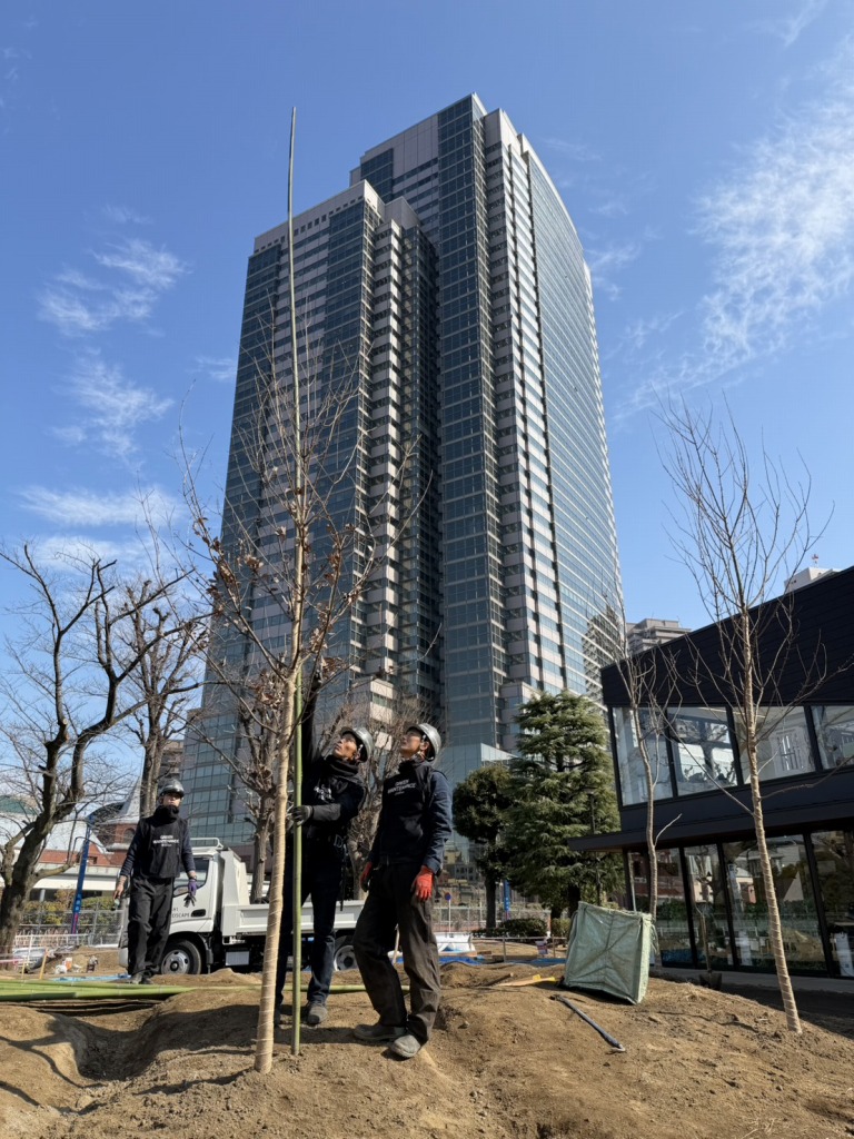 恵比寿どろんこ山プレーパーク　恵比寿薬袋一公園　緑の環境プラン　植栽　造園工事