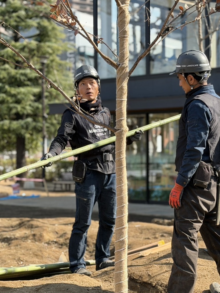 恵比寿どろんこ山プレーパーク　恵比寿薬袋一公園　緑の環境プラン　植栽　造園工事