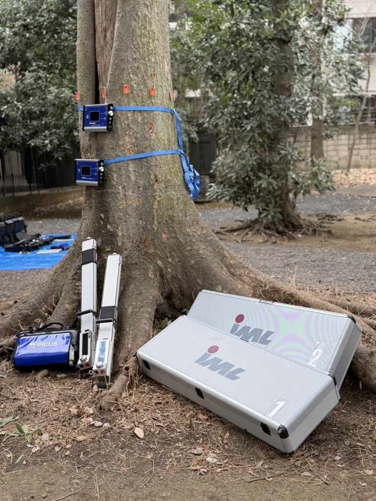 PiCUS Sonic Tomograph　ピカス　樹木医　樹木診断　機器診断　御神木