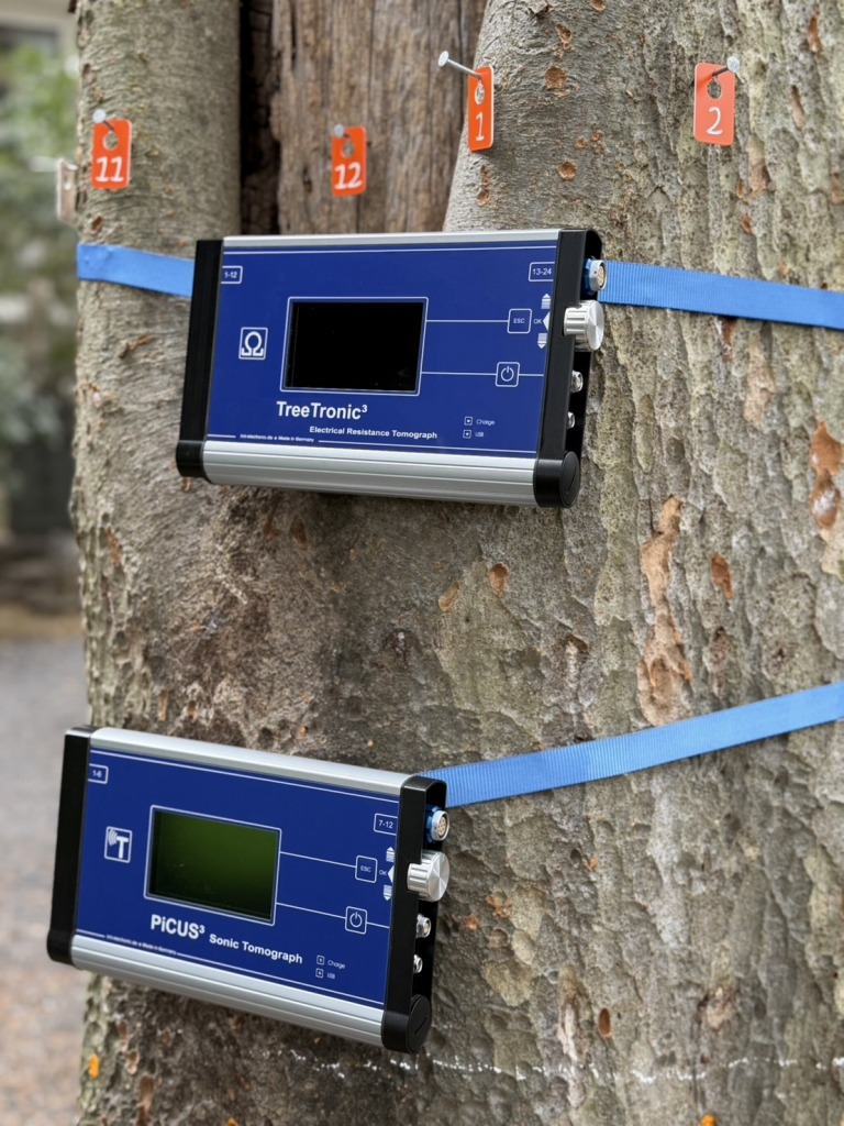 PiCUS Sonic Tomograph　ピカス　樹木医　樹木診断　機器診断　御神木