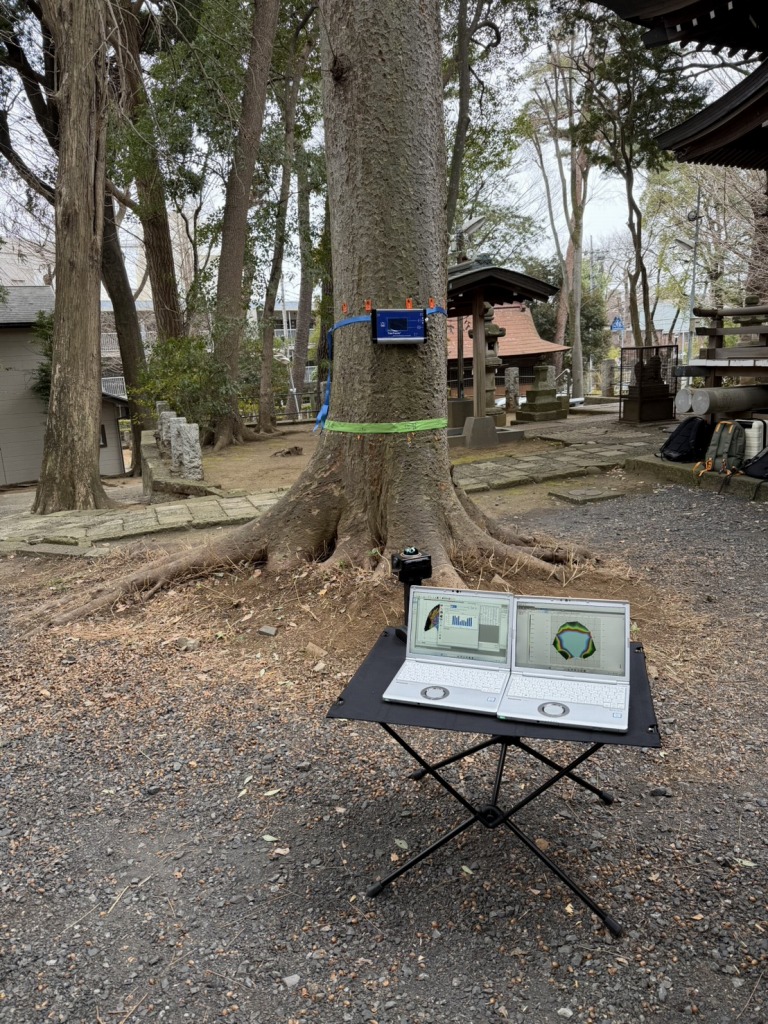 PiCUS Sonic Tomograph　ピカス　樹木医　樹木診断　機器診断　御神木