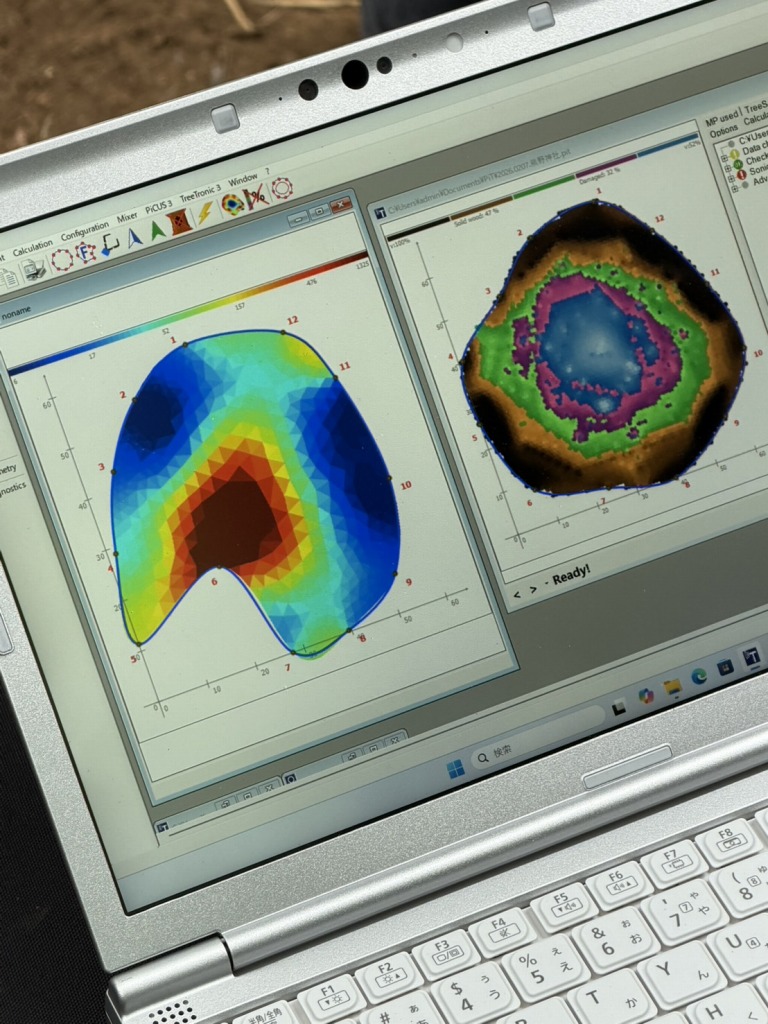 PiCUS Sonic Tomograph　ピカス　樹木医　樹木診断　機器診断　御神木