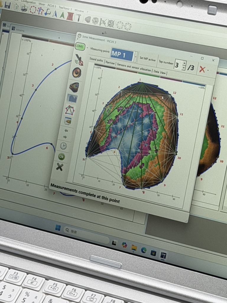 PiCUS Sonic Tomograph　ピカス　樹木医　樹木診断　機器診断　御神木