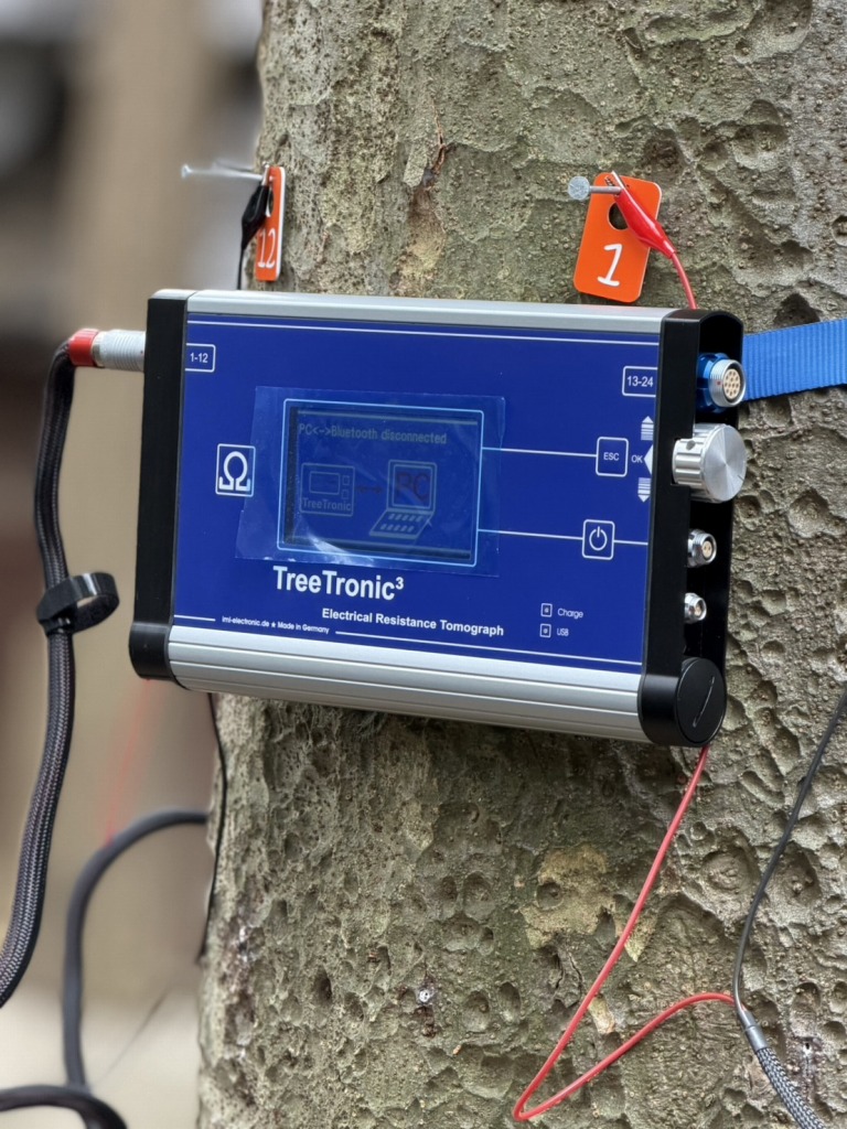 PiCUS Sonic Tomograph　ピカス　樹木医　樹木診断　機器診断　御神木