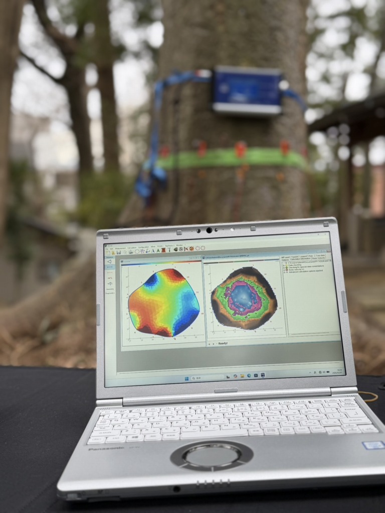 PiCUS Sonic Tomograph　ピカス　樹木医　樹木診断　機器診断　御神木