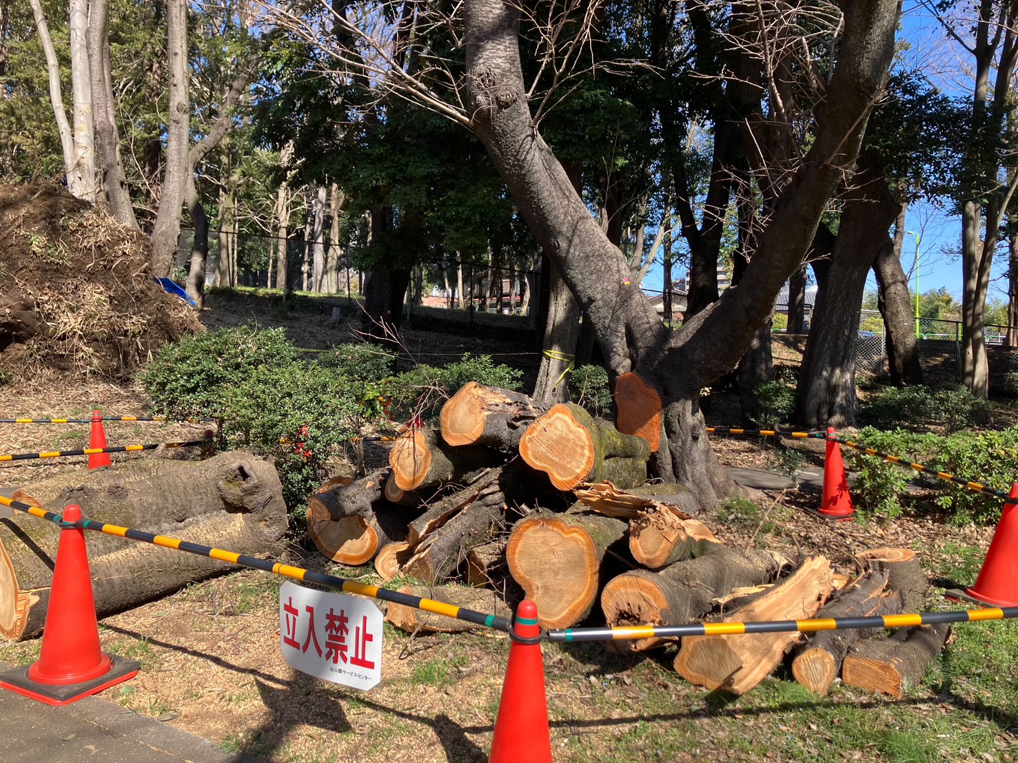 株式会社トシ・ランドスケープ(New)