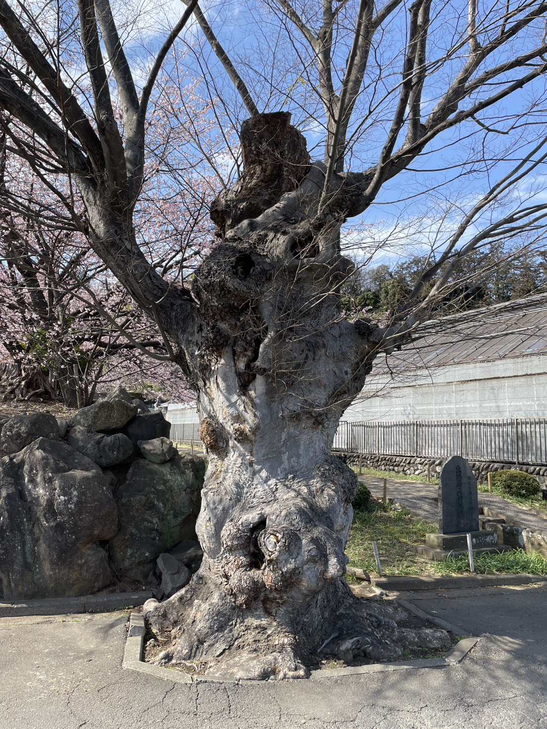 株式会社トシ・ランドスケープ(New)