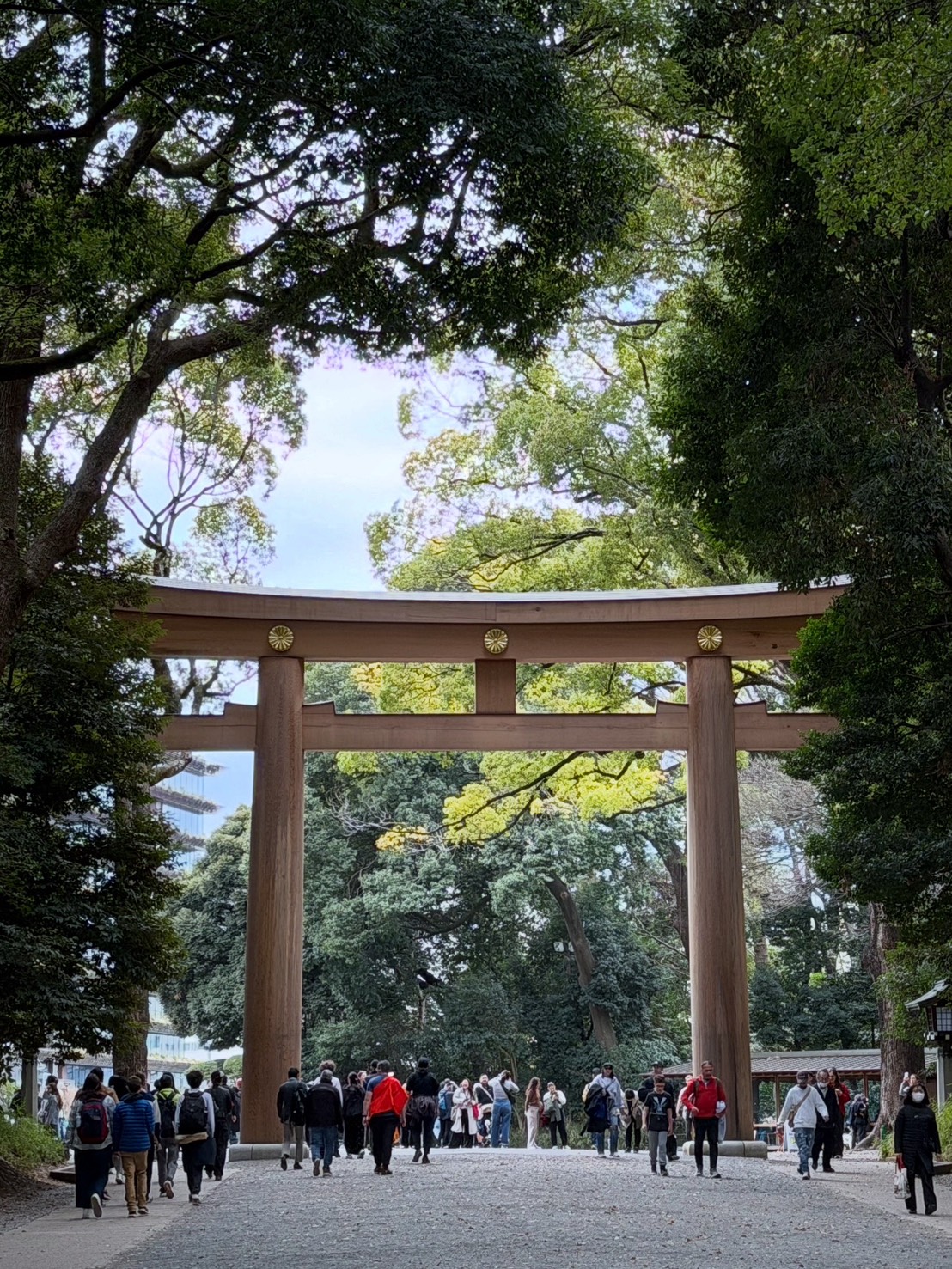 株式会社トシ・ランドスケープ(New)