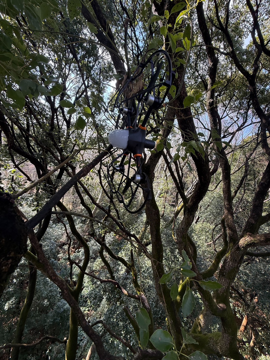 株式会社トシ・ランドスケープ(New)