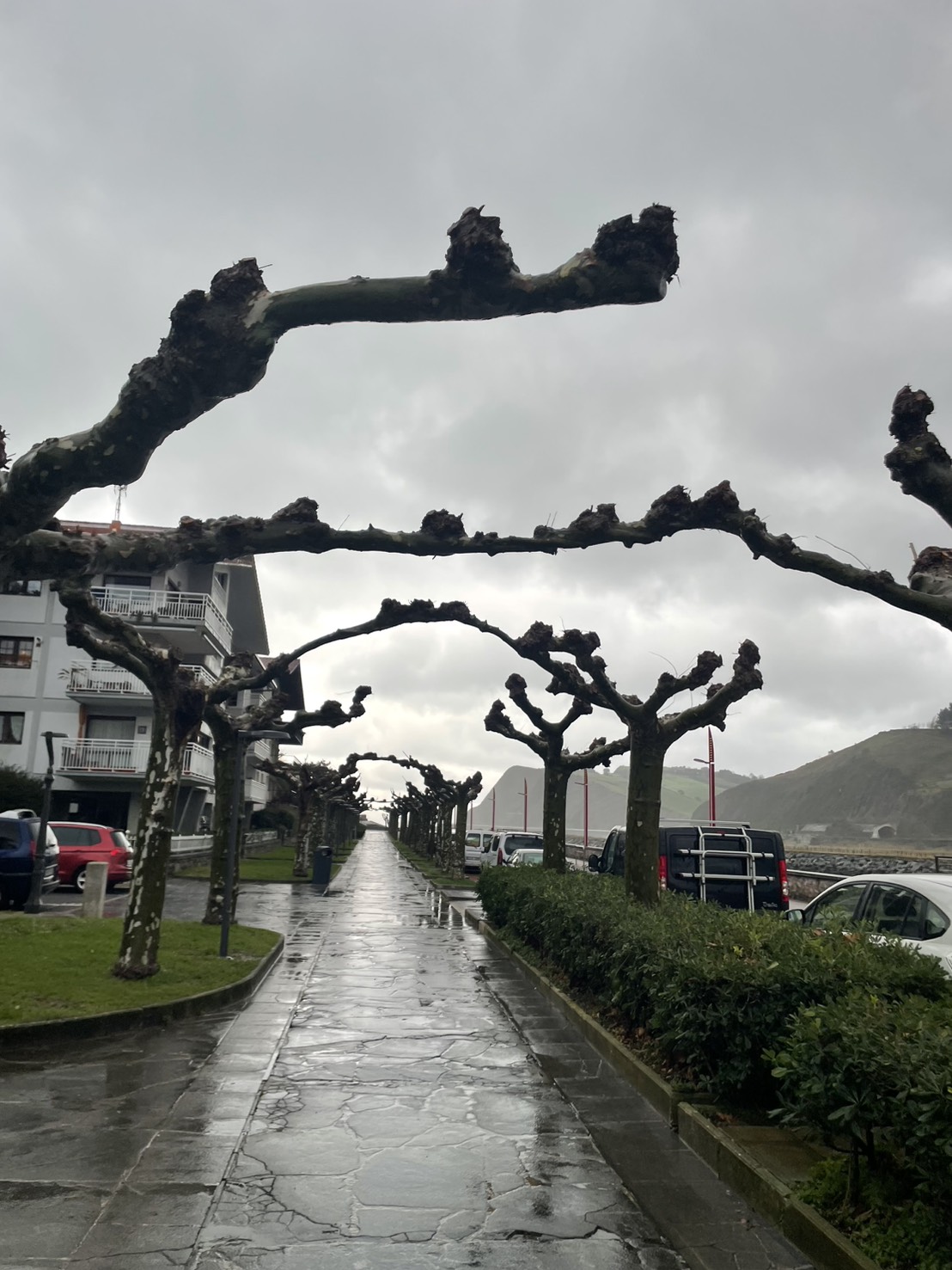 株式会社トシ・ランドスケープ