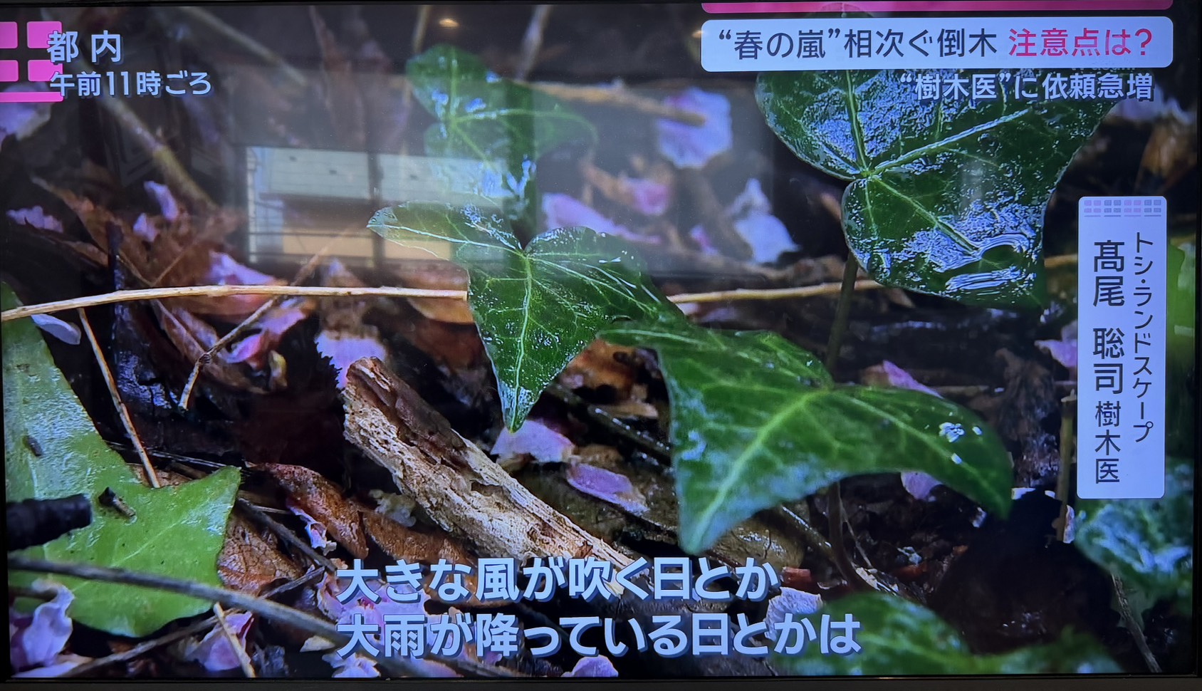 株式会社トシ・ランドスケープ