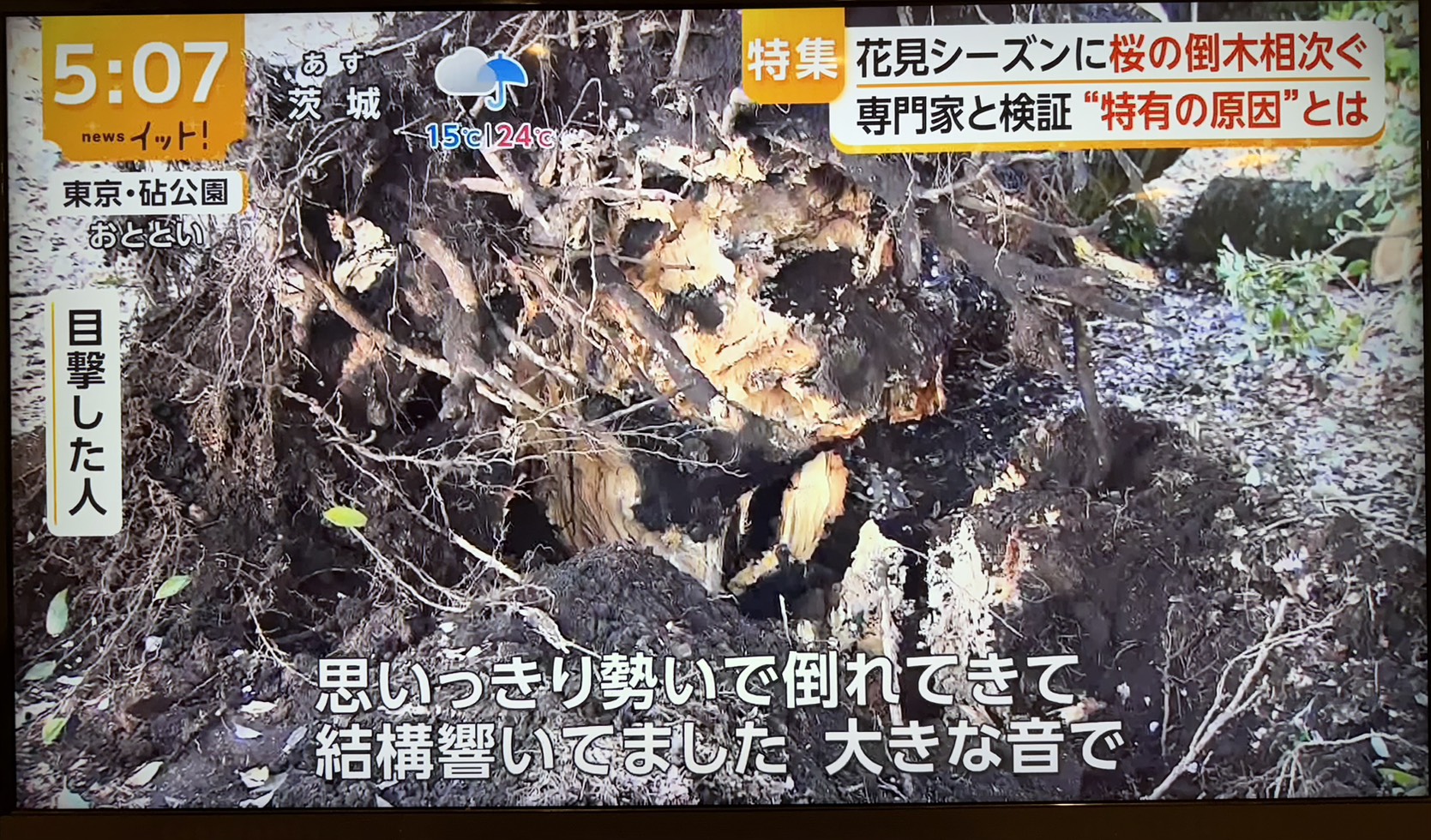 株式会社トシ・ランドスケープ
