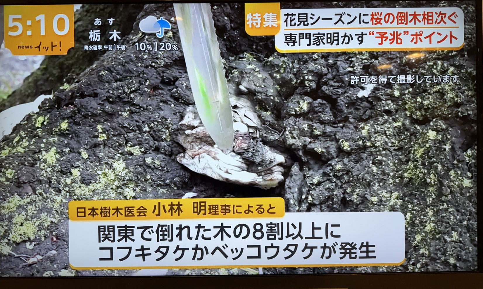 株式会社トシ・ランドスケープ