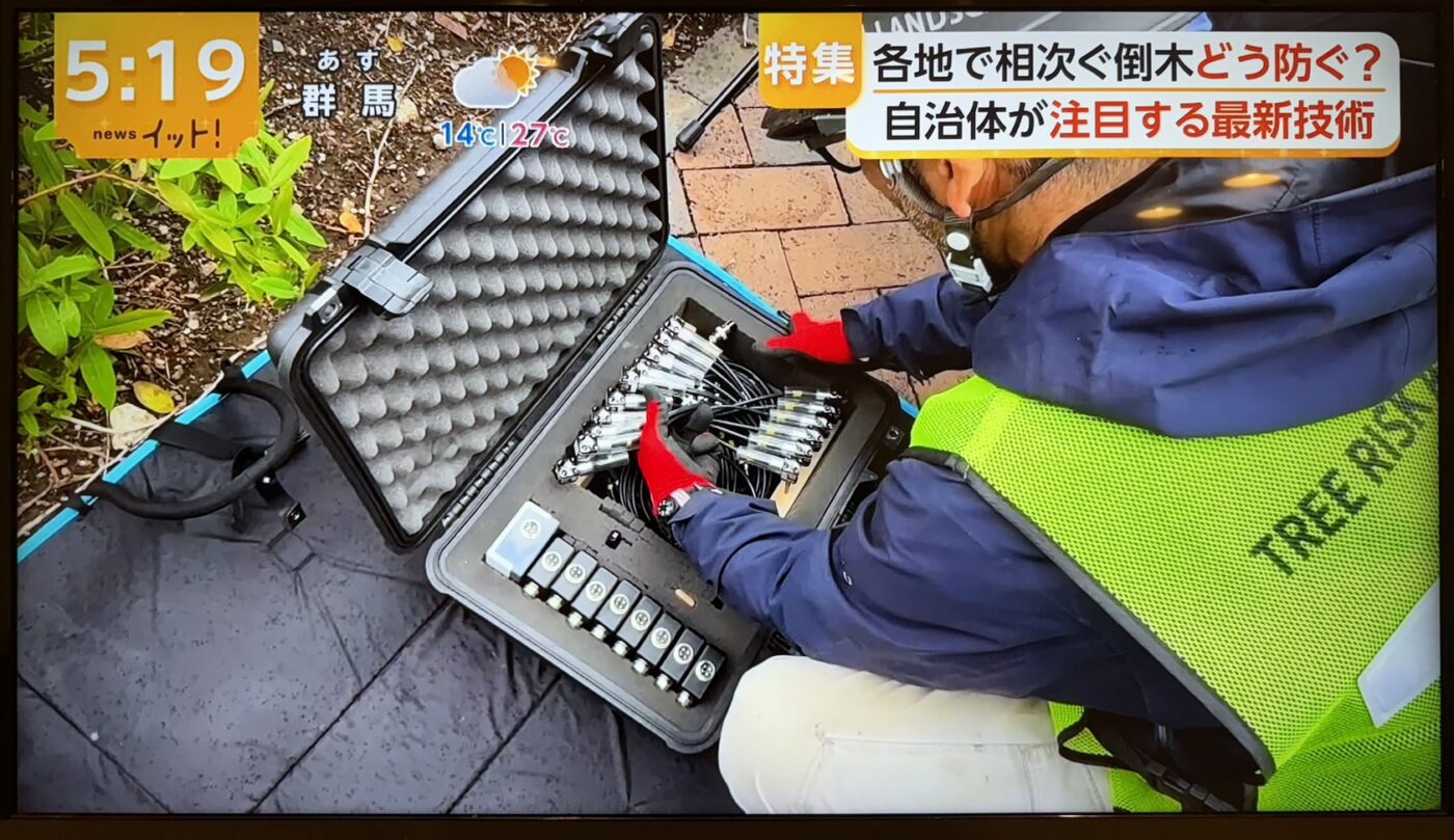 樹木医　樹木診断　機器診断　御神木　アーボソニック3D arborsonic3d　CTスキャン　ベッコウタケ　コフキタケ　倒木　サクラ