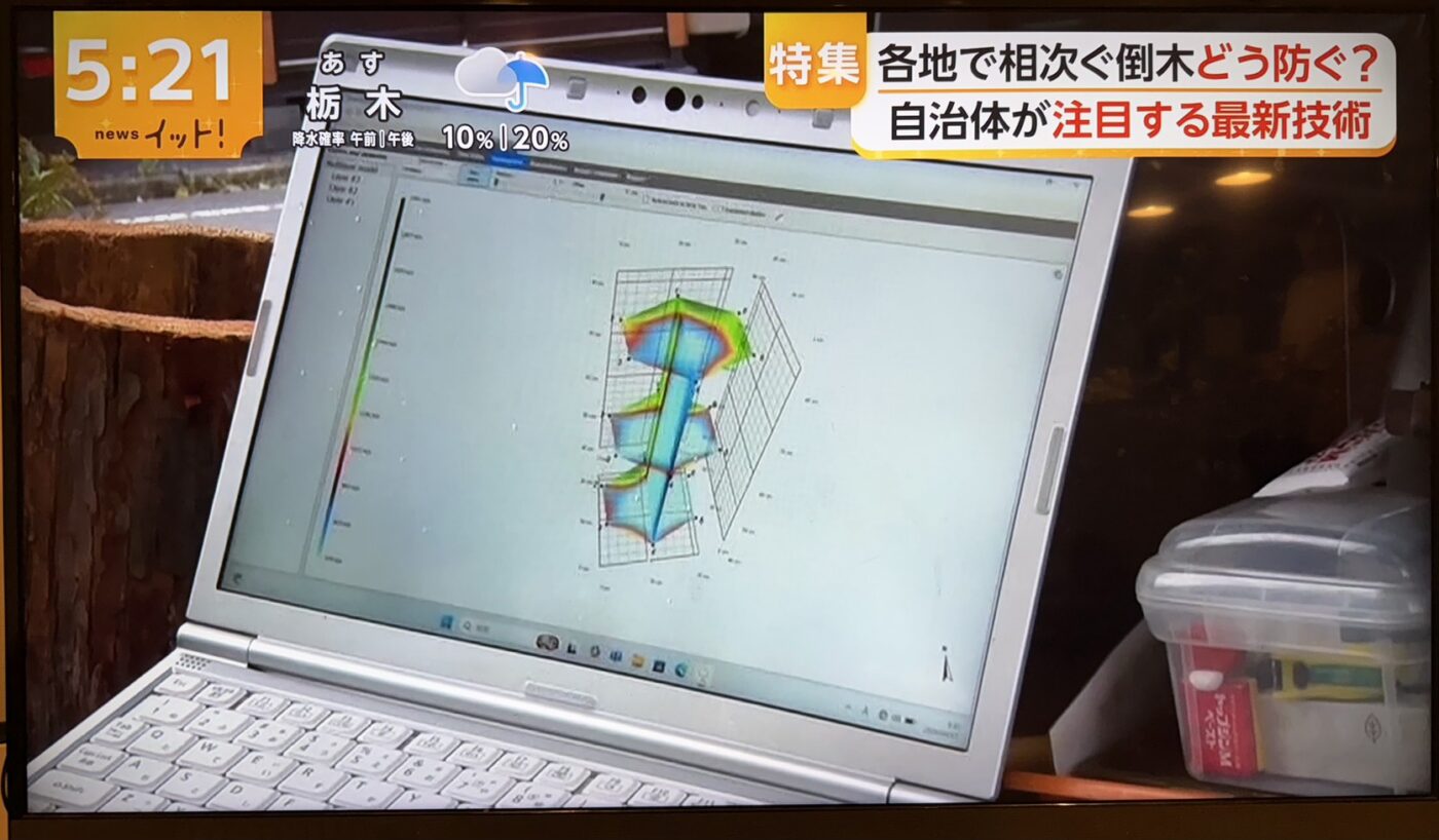 樹木医　樹木診断　機器診断　御神木　アーボソニック3D arborsonic3d　CTスキャン　ベッコウタケ　コフキタケ　倒木　サクラ