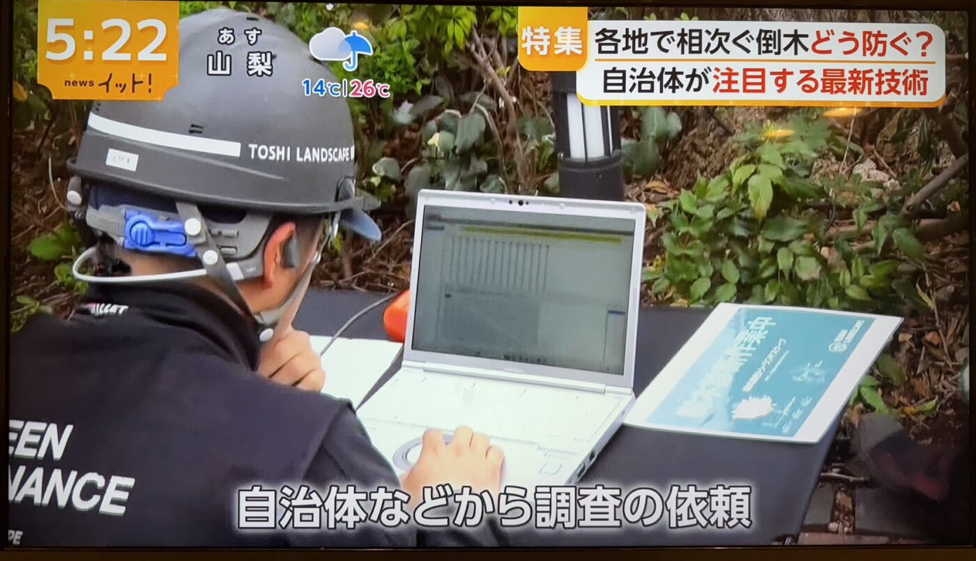 樹木医　樹木診断　機器診断　御神木　アーボソニック3D arborsonic3d　CTスキャン　ベッコウタケ　コフキタケ　倒木　サクラ
