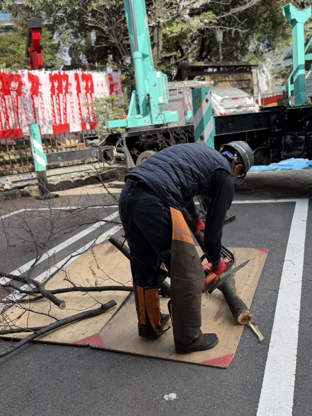 ケヤキ　剪定　ロープワーク