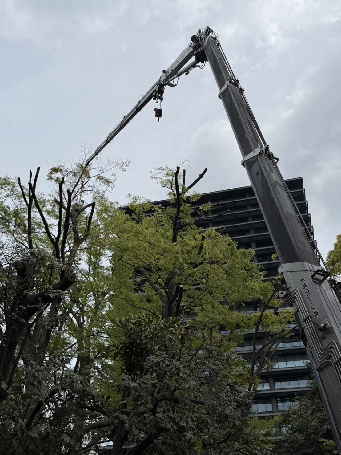 株式会社トシ・ランドスケープ