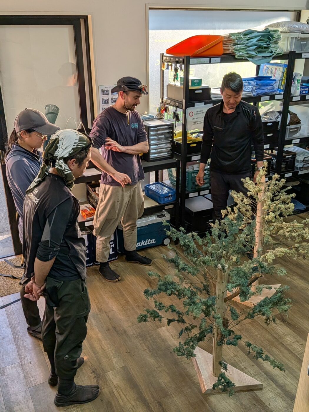 剪定模型　樹木模型　樹木医　剪定　枝葉
