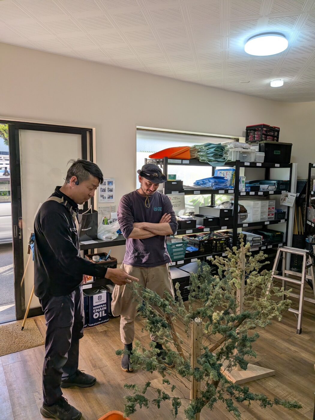 剪定模型　樹木模型　樹木医　剪定　枝葉