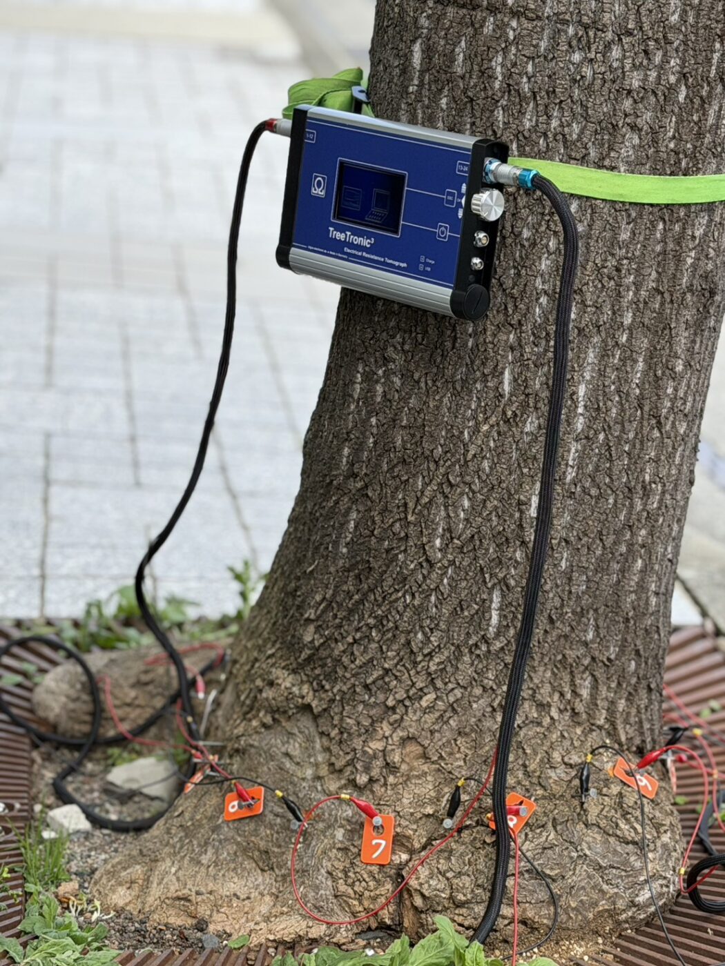 ピカス　トモグラフィ　音波　機器診断　picus