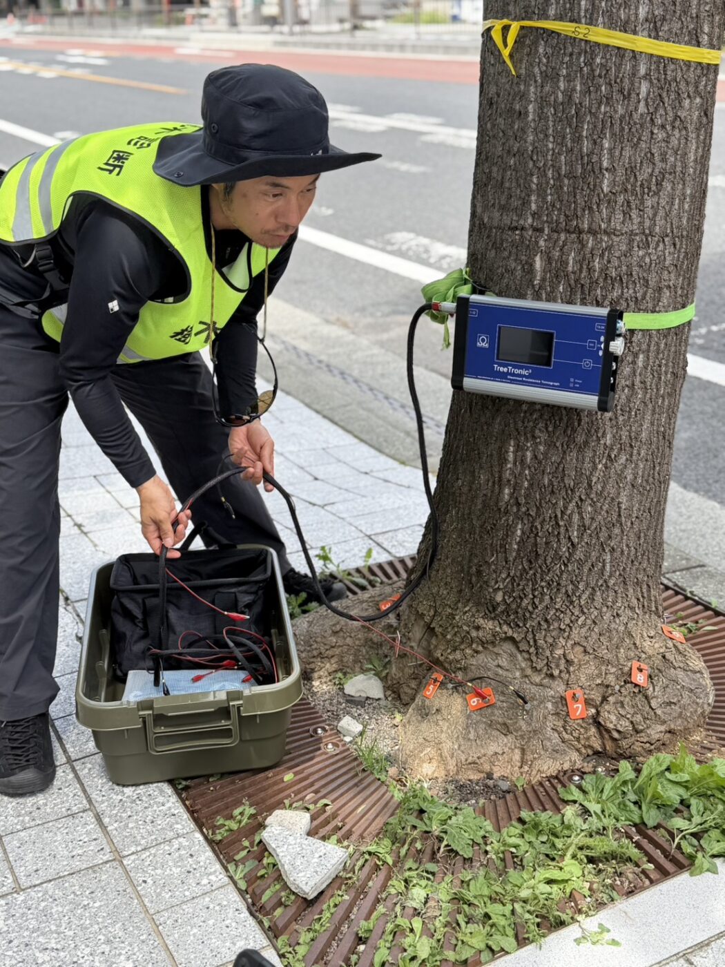 ピカス　トモグラフィ　音波　機器診断　picus