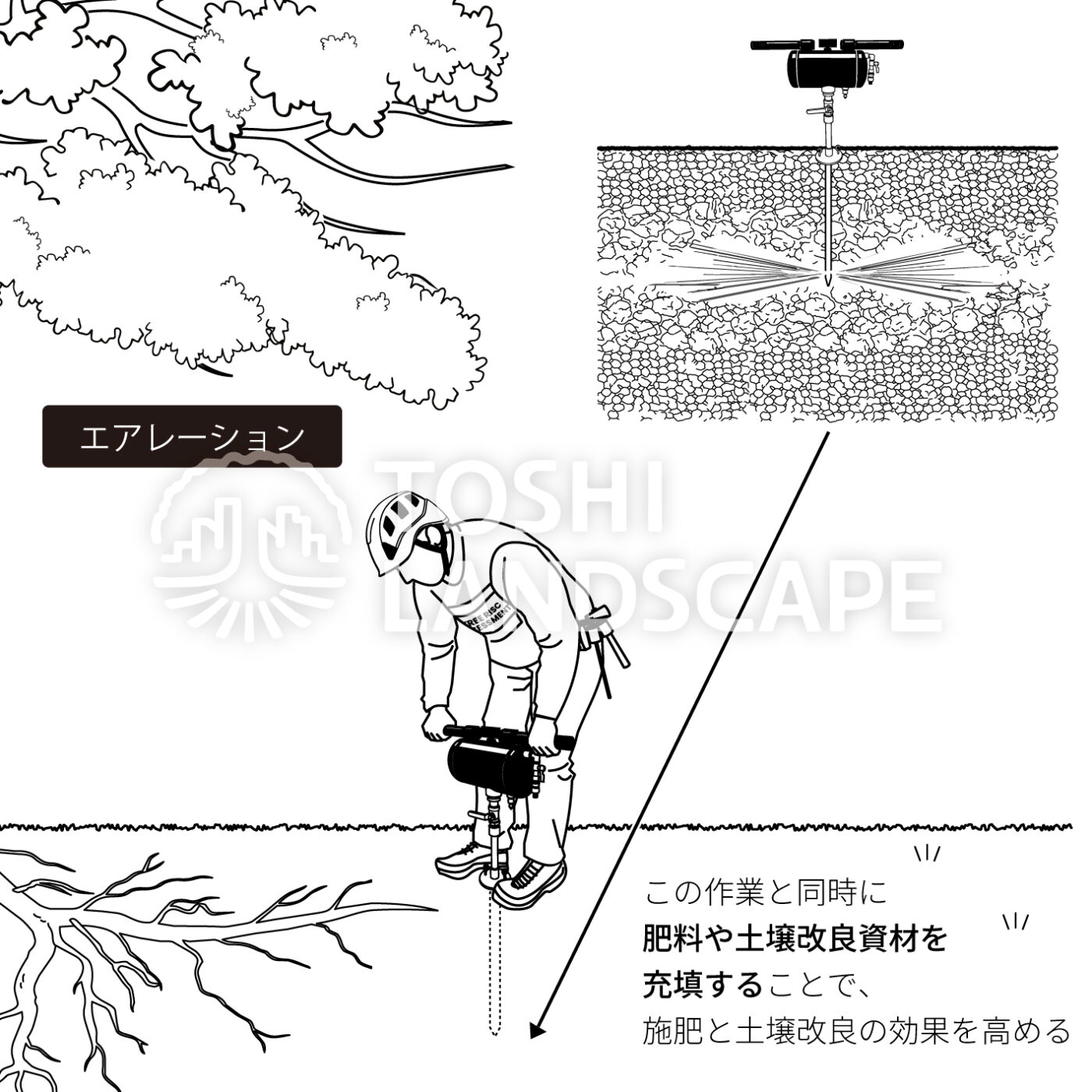 エアレーション ドドンパ イラスト 土壌改良 樹勢回復